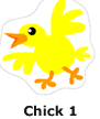 Chick 1 