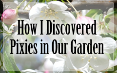 How I Discovered Garden Pixies