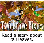 Two Brave Pixies