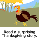 Read Turkey Surprise