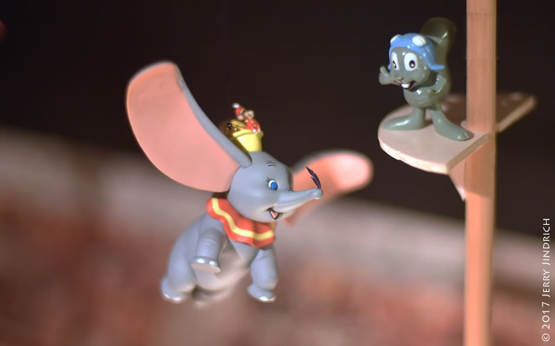 Flying Animals