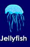 Jellyfish Video
