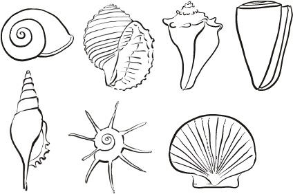 Coloring Sheets  on Fun   Games   Fun With Sea Shells   Shells To Color